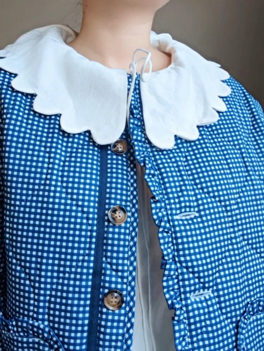Super Cute Blue Gingham Quilted Jacket
